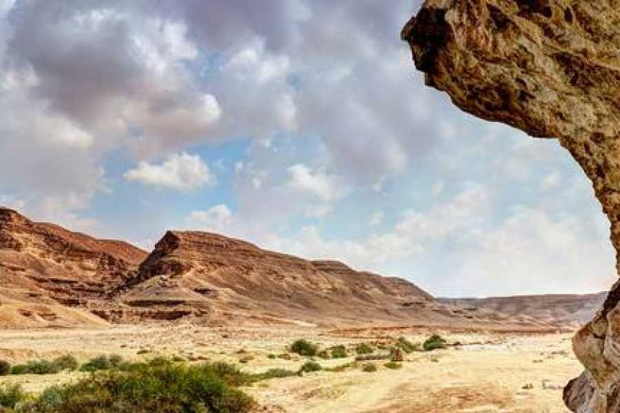 Wadi Degla Protectorate Nature Tour - Cairo Hidden Gem