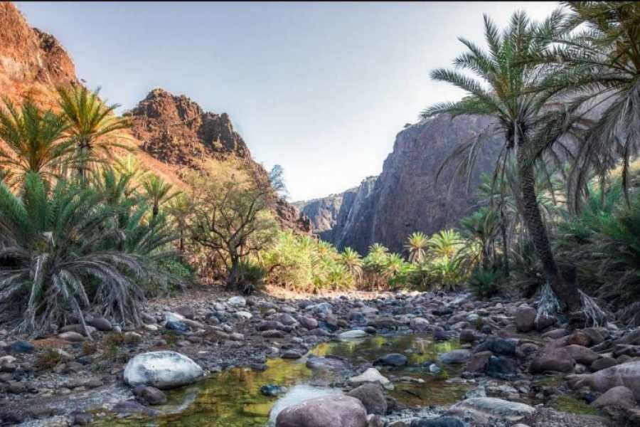 Wadi Qunai & Three Pools Safari from Sharm El Sheikh
