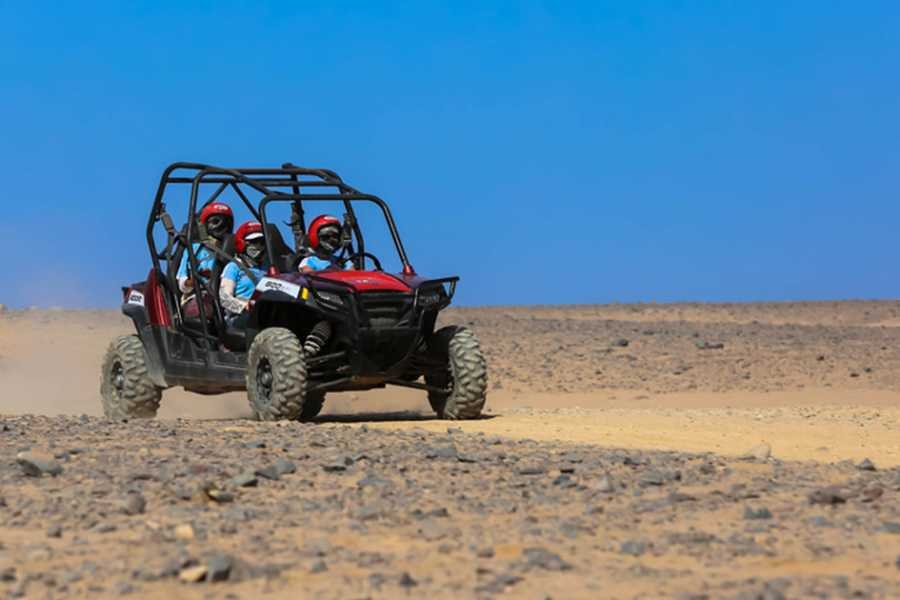 Desert Car Buggy Safari in Sharm El Sheikh