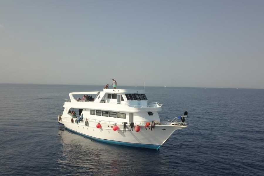 Yacht Diving Tour with 2 Dives & Lunch in Hurghada