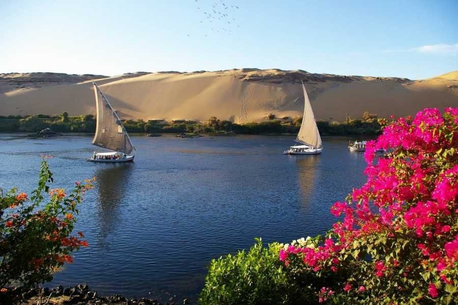 Aswan Botanical Garden & Felucca Ride on the Nile