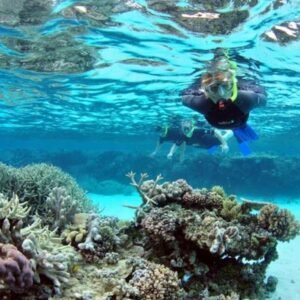 Ras Mohamed National Park Snorkeling by Boat