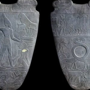 Cairo Highlights: Egyptian Museum, Cairo Tower & Nile River Cruise