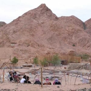 1-Hour ATV Quad Bike Ride in Dahab