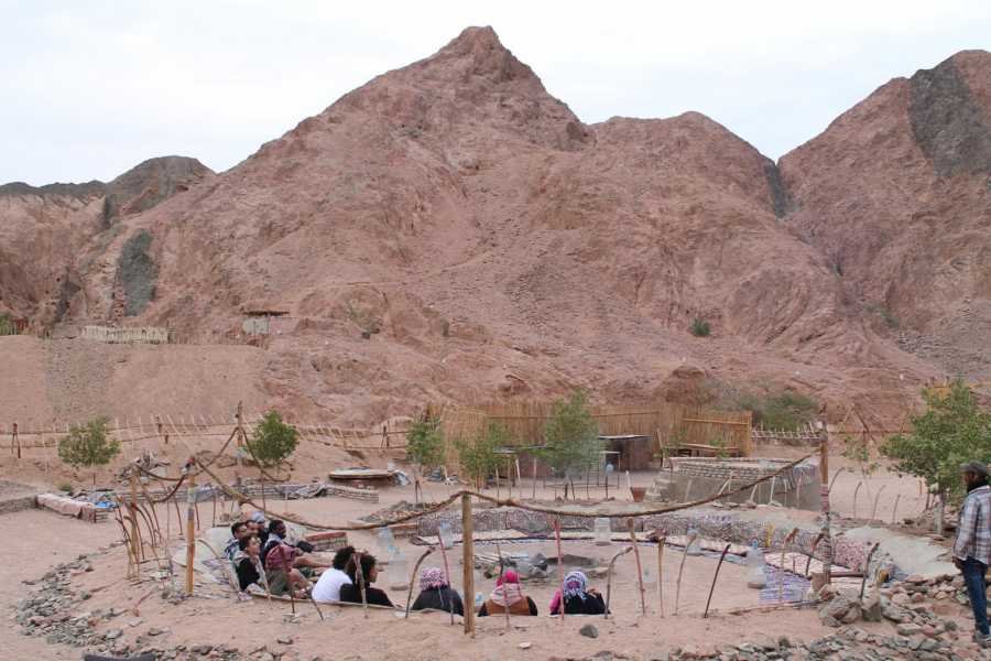 1-Hour ATV Quad Bike Ride in Dahab