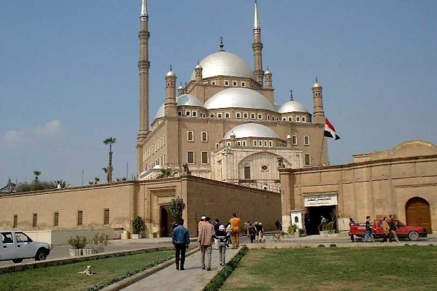 Cairo Layover Tour - Egyptian Museum & Citadel