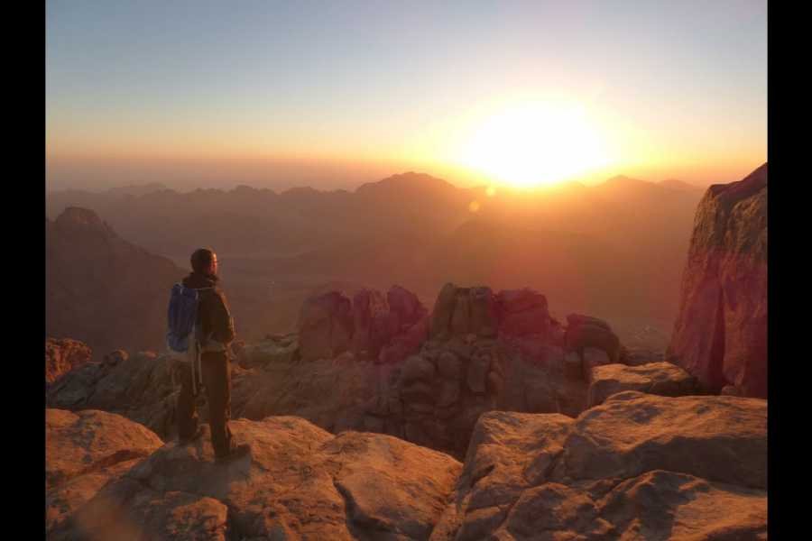 Moussa Mountain Adventure Day Trip from Sharm El Sheikh