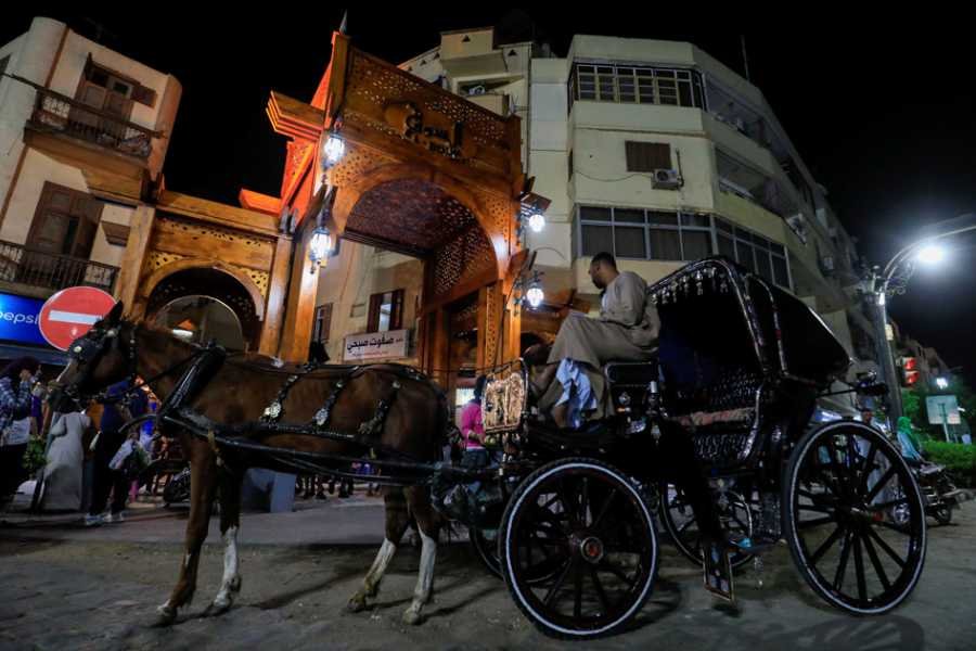 Luxor by Night - Private Horse Carriage Ride & Walking Tour with Dinner