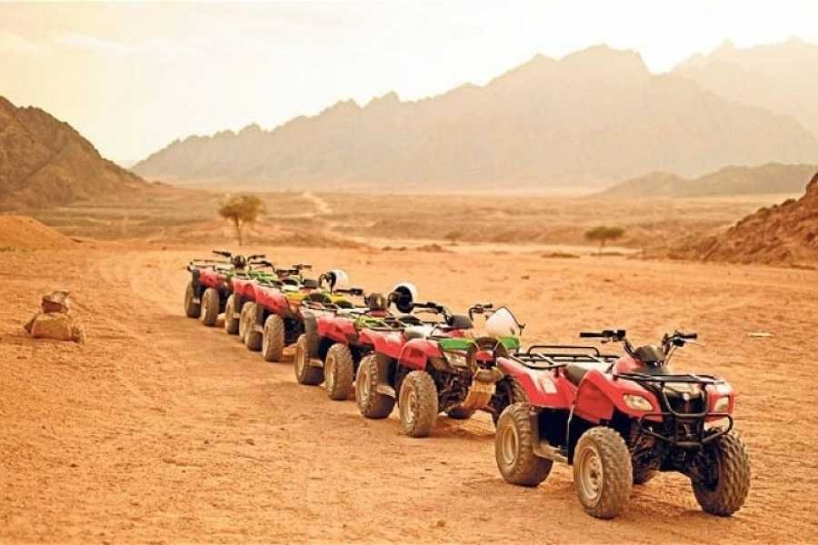 Desert Safari by Quad Bike in Hurghada
