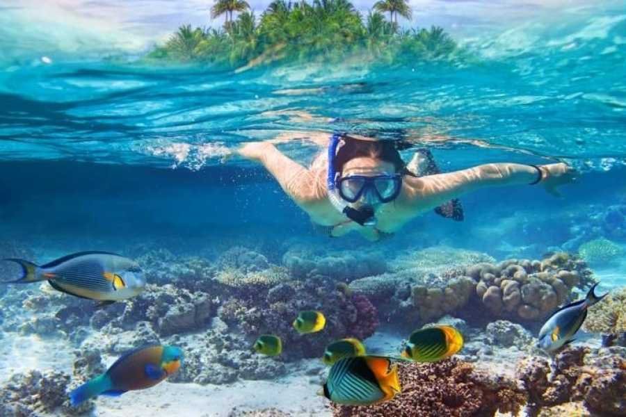 Snorkeling at Sharm El Naga Bay from Hurghada