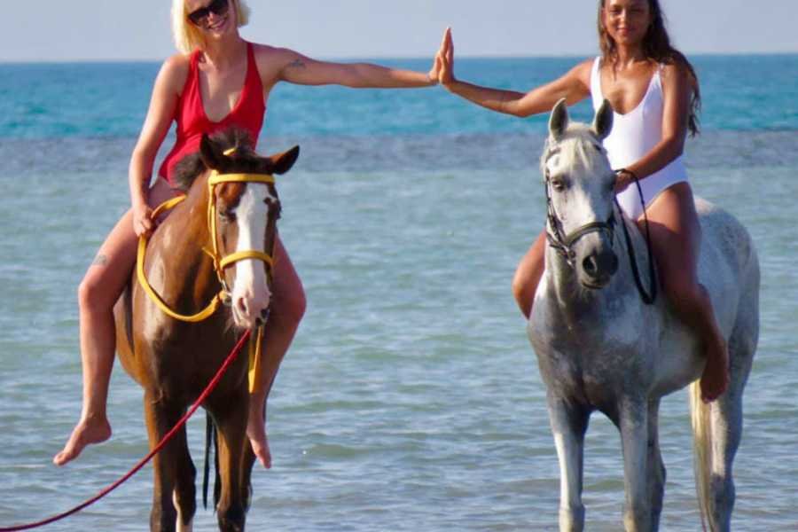 Desert Horse Safari Sunrise or Sunset in Hurghada