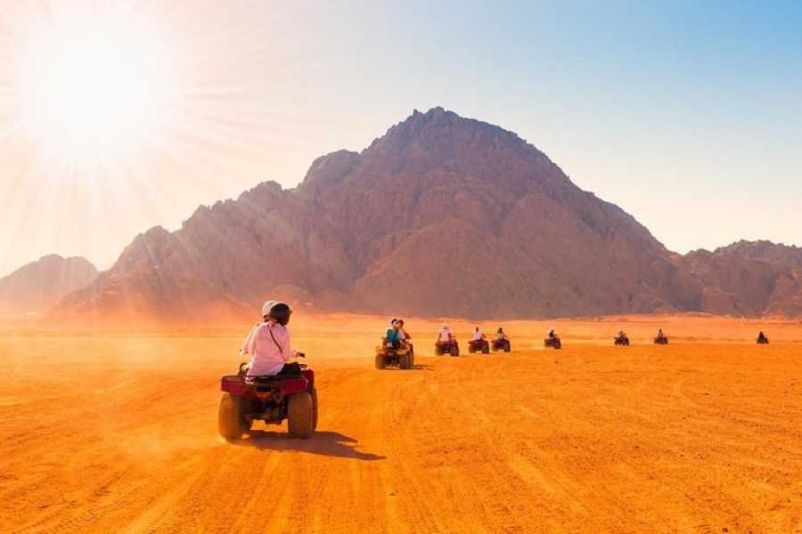 Quad Bike with Bedouin Dinner & Tanoura Show in Sharm El Sheikh