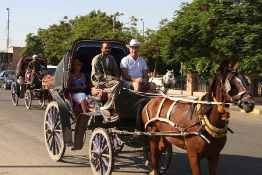 Luxor City Evening Tour by Horse Carriage